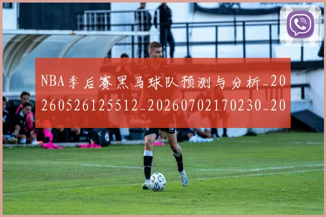 NBA季后赛黑马球队预测与分析_20260526125512_20260702170230_20260714213015