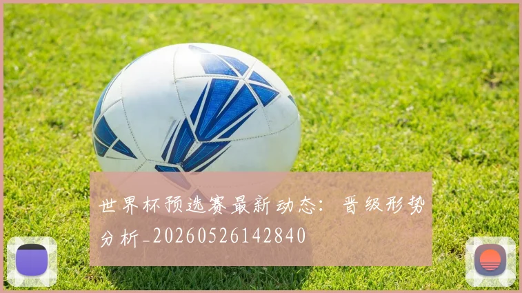 世界杯预选赛最新动态：晋级形势分析_20260526142840