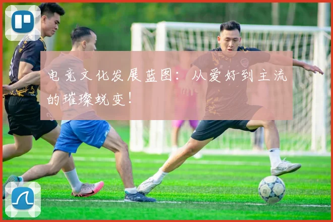 电竞文化发展蓝图:从爱好到主流的璀璨蜕变!